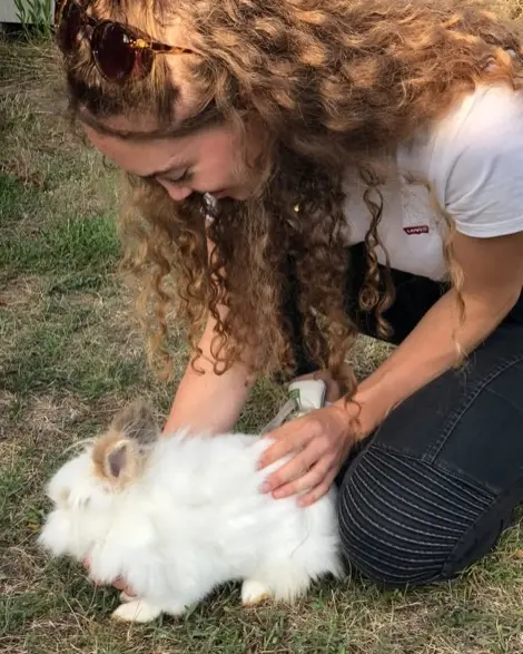 Maya en consultation sur un lapin angora blanc