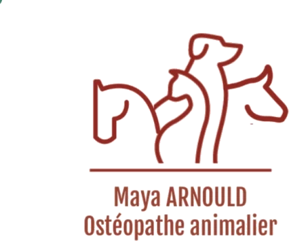 Maya Arnould, ostéopathe animalier